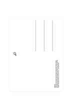 Carte postale avec Pintail | Objetos de diseño y regalos originales
