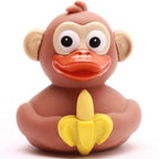 Canard Singe