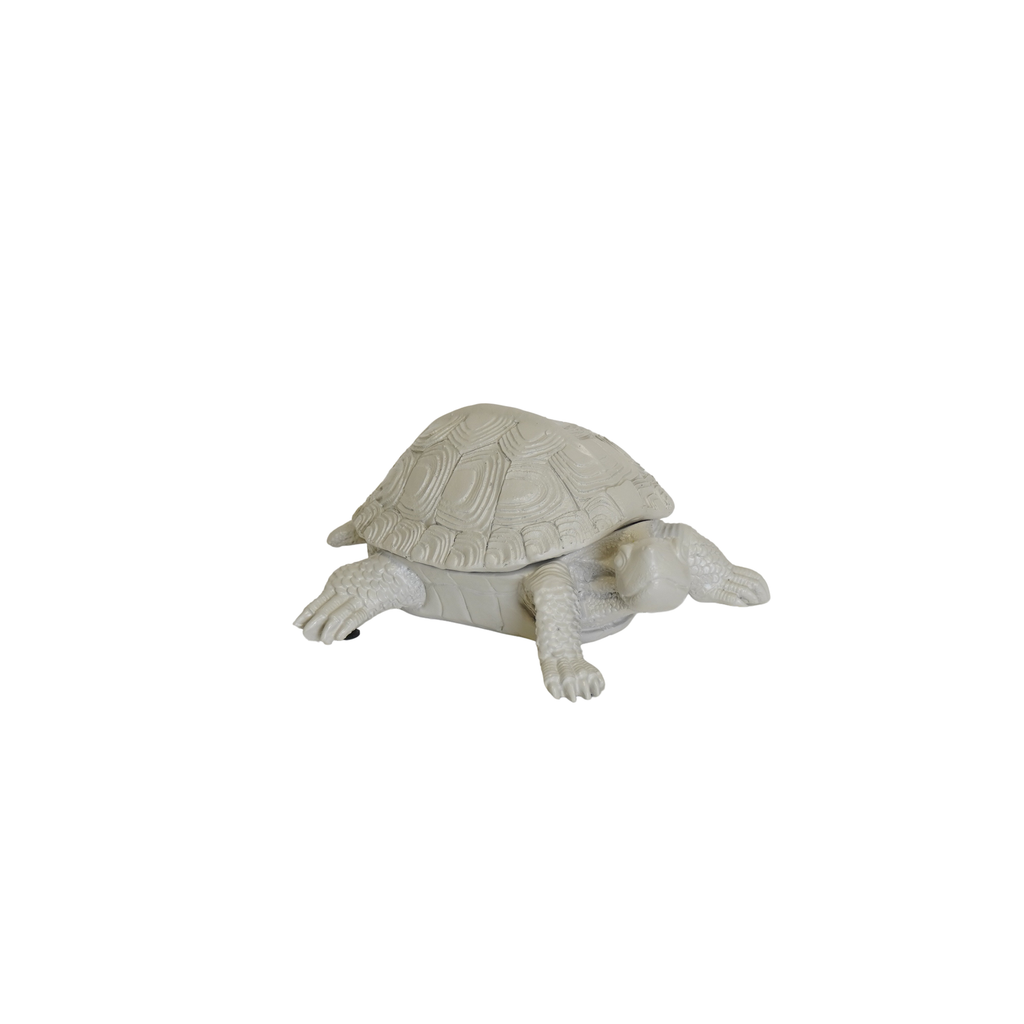 Boîte Tortue - Sable | Design e regali originali