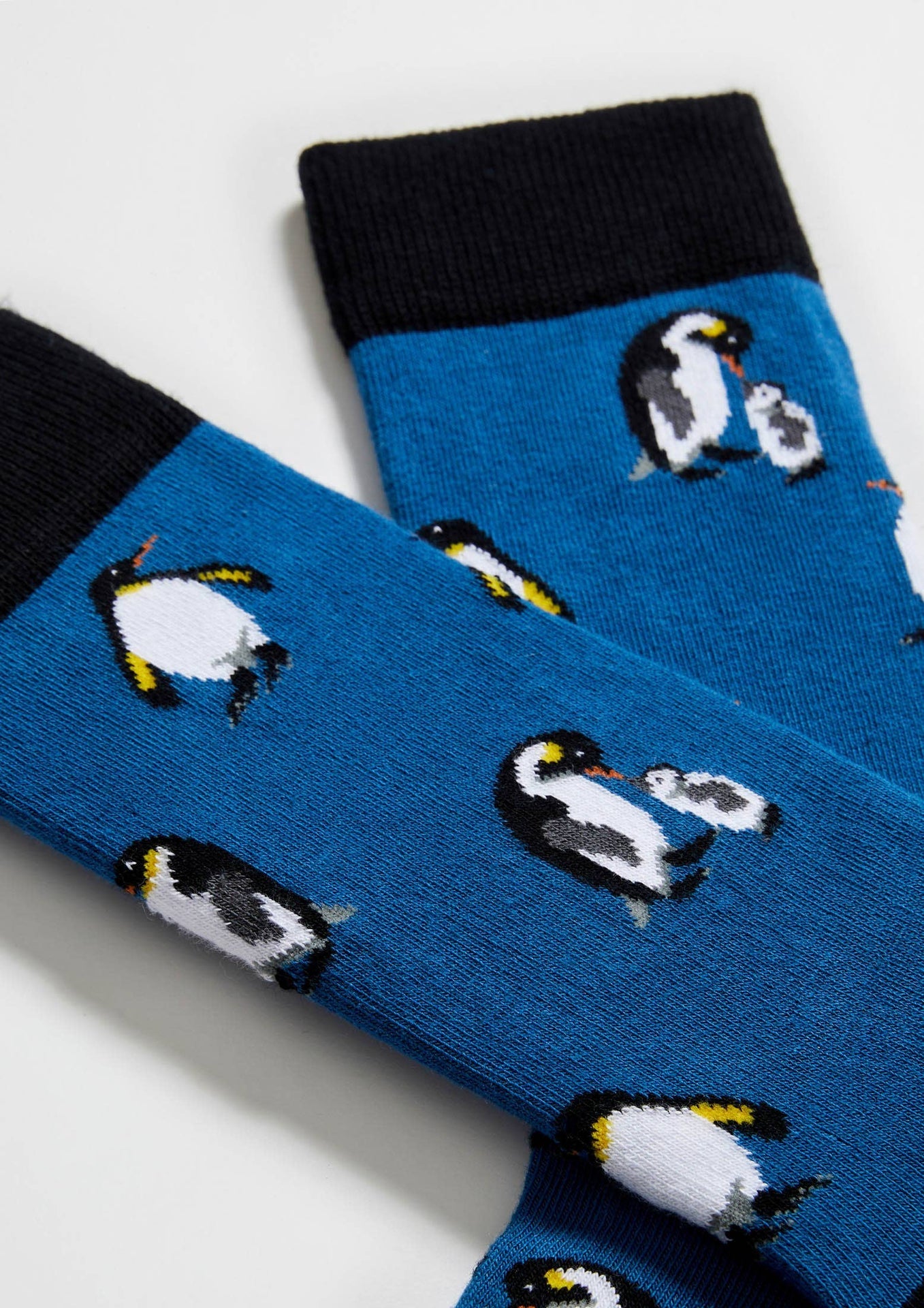 Chaussettes BePenguin | Oggetti di design e regali originali