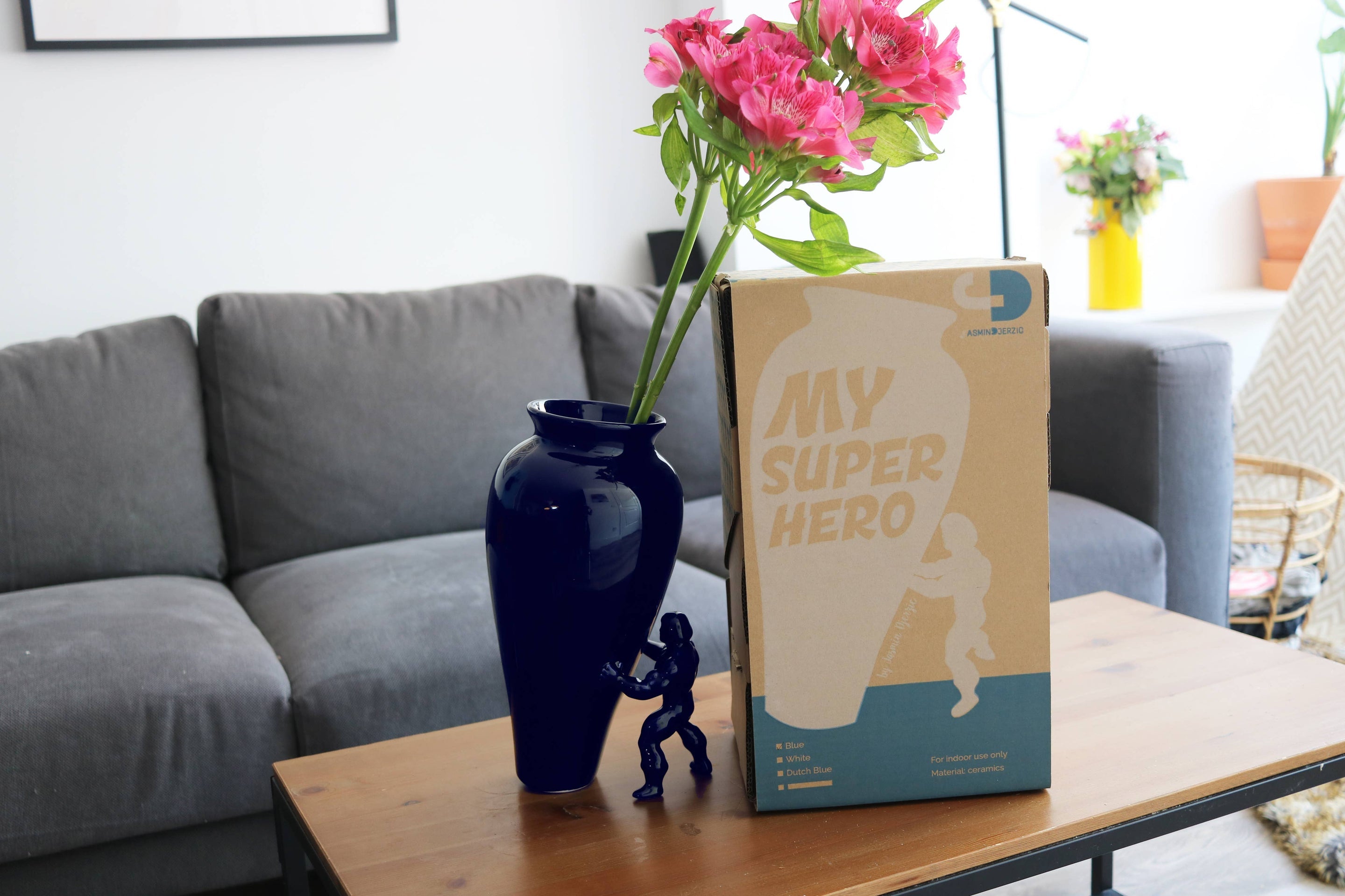 Mon super héros bleu – Jasmin Djerzic – vue 7