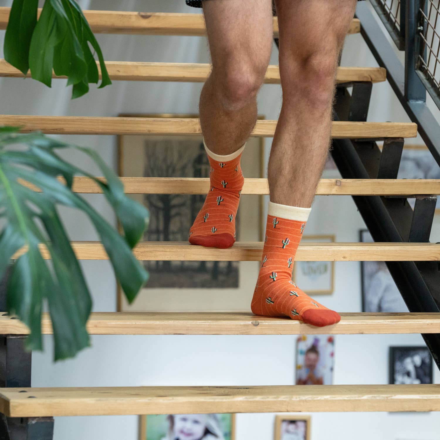 Chaussettes Cactus | Designproducten en originele cadeaus
