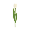 Marque-page Tulipe Blanche | Design e regali originali