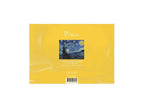 masque de nuit vincent van gogh une nuit etoilee lanzfeld 