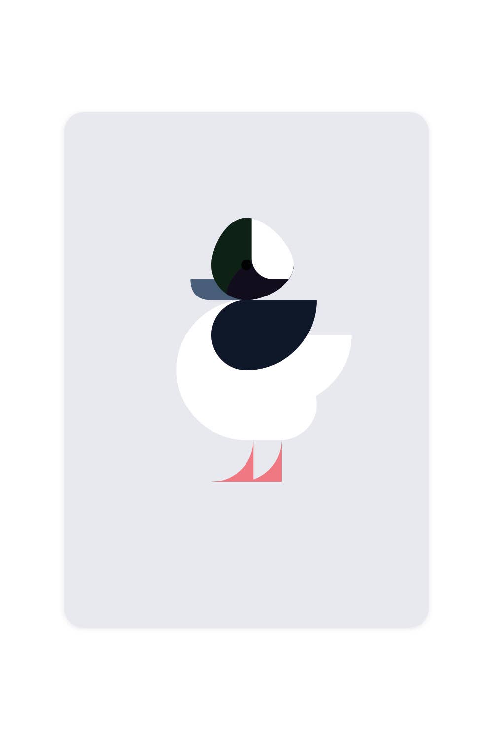 Carte postale Buffalo Duck | Objetos de diseño y regalos originales