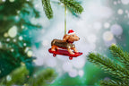 Boule de Noël Teckel sur Skateboard