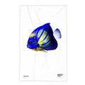 Torchon Mr Amazon le Poisson-ange royal | Design e regali originali