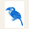 Postkarte mit blauem Tukan