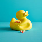 Designcadeau – M. Ugly Duckling Jaune – Jasmin Djerzic – Jaune – vue 2