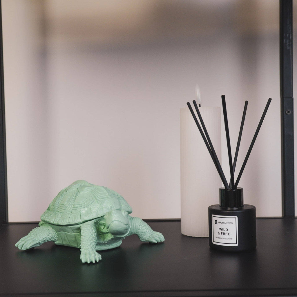 Schildkrötenbox – Mintgrün
