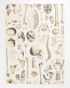 Oggetto regalo di design – Torchon Squelette – produit scientifique Cognitive Surplus EU, vue 1