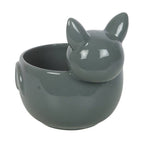 Bol de friandises d'Halloween mignon en forme de chauve-souris