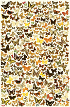 Affiche de Jeu XL - Trouvez les Sosies | Oggetti di design e regali originali