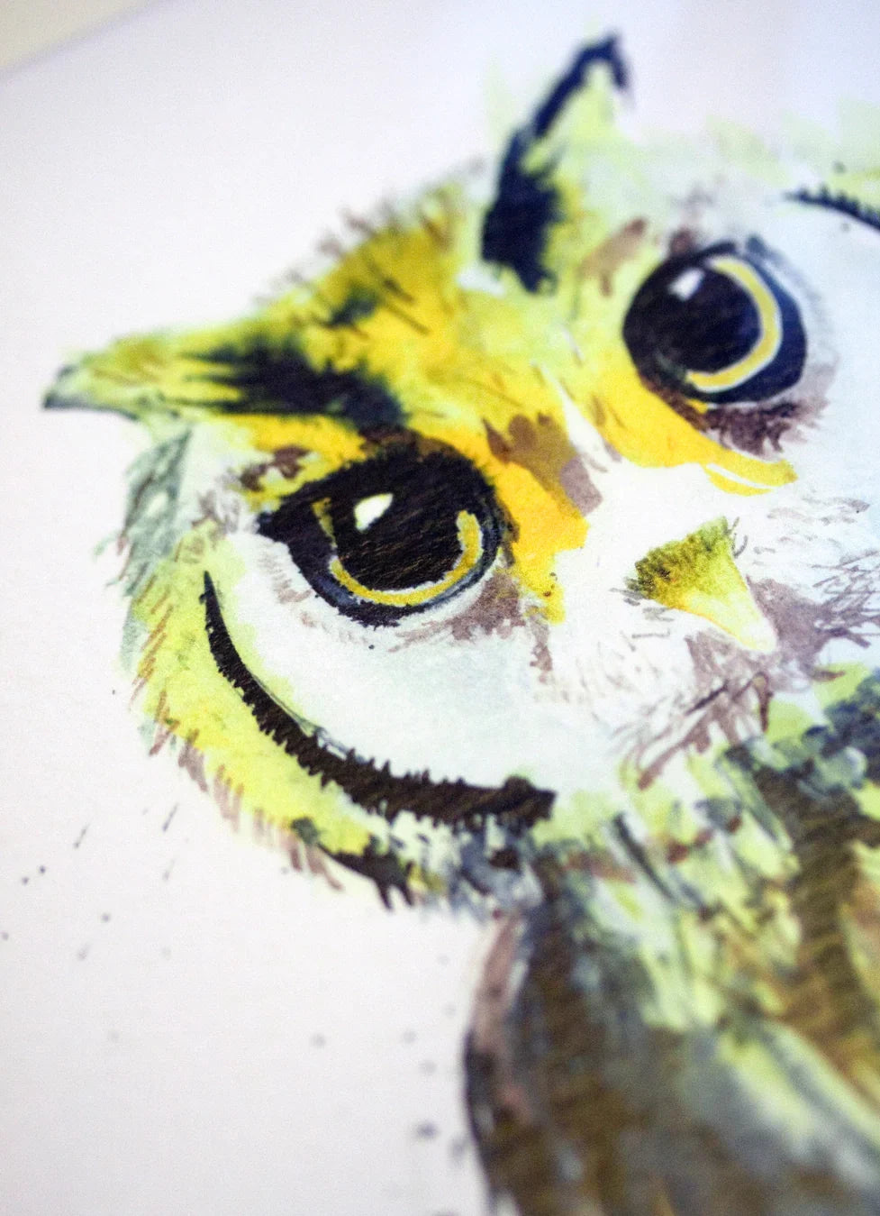 Design-lahja – carte de voeux aquarelle hibou kate moby 