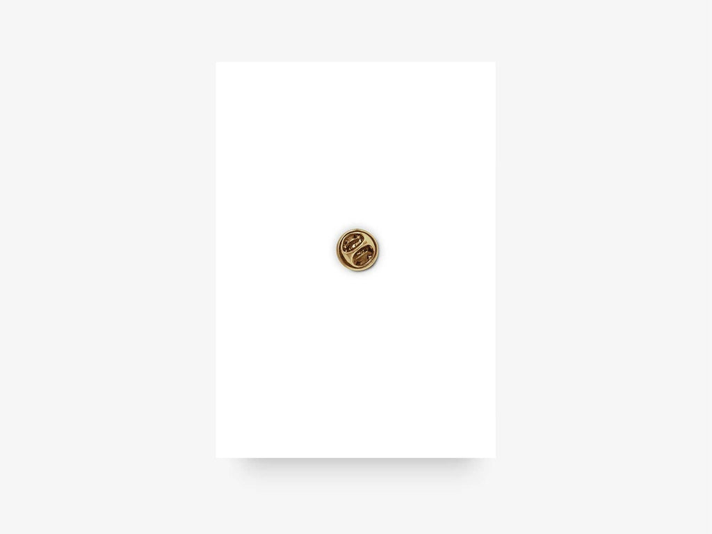 Pin's F *&amp;k You