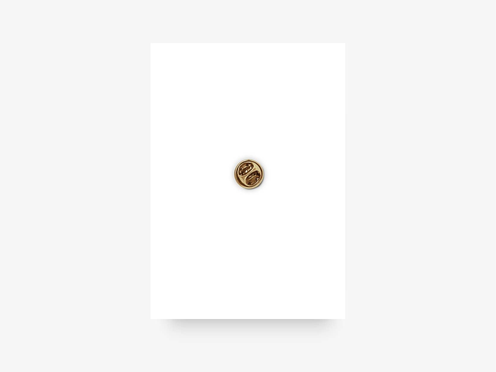 Pin's F *&amp;k You