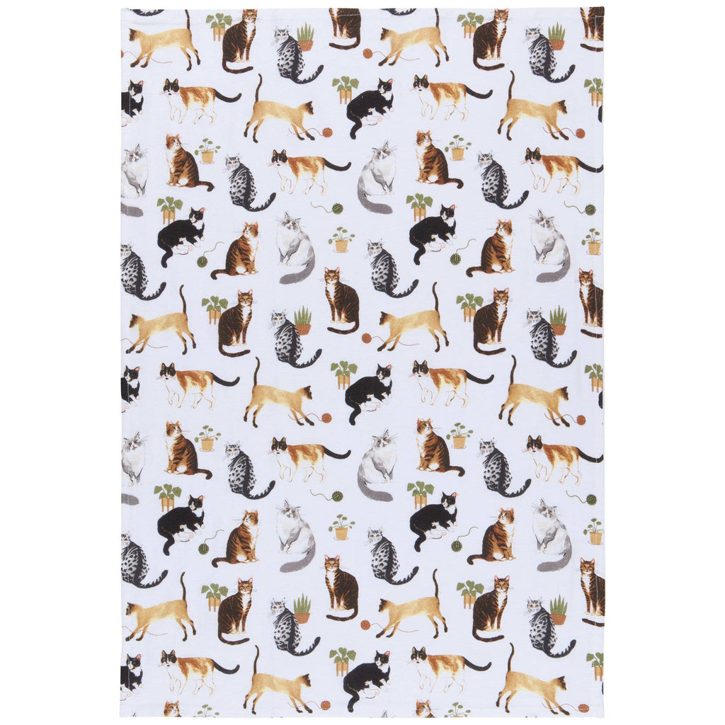 Lot de 3 torchons Chats | Designobjekte & Geschenkideen