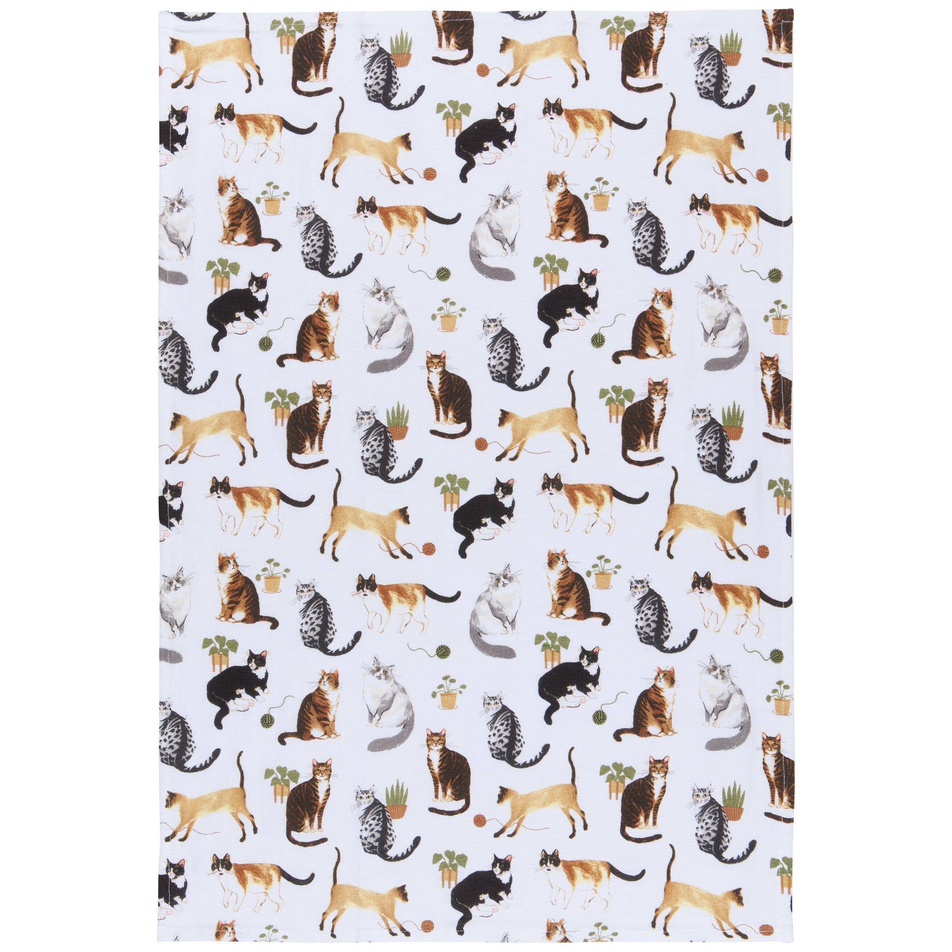 Lot de 3 torchons Chats | Oggetti di design e regali originali
