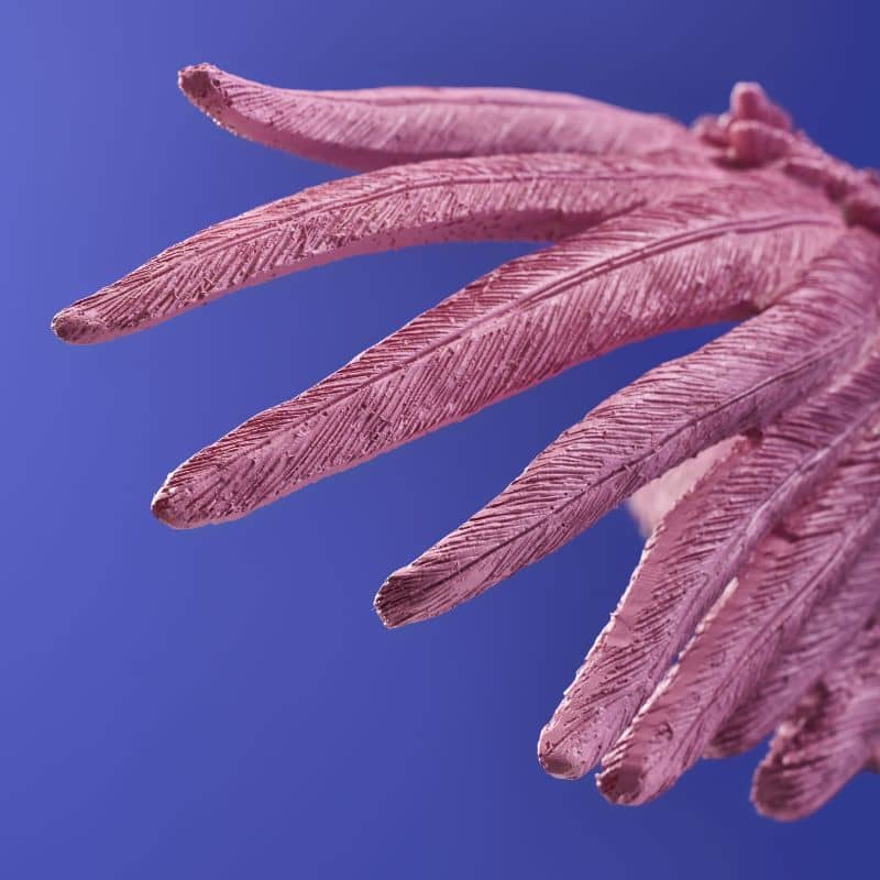 Deckenleuchte Papagei Rosa
