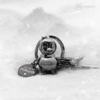 Oggetto regalo di design – porte cles pingouin tu es mon pingouin fabach 