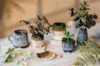 Vase Mojave Chat