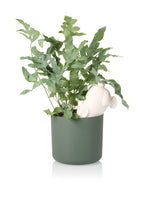 Designcadeau – arroseur autonome lapin bunny bitten