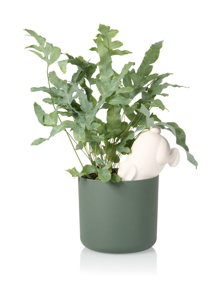 Designcadeau – arroseur autonome lapin bunny bitten