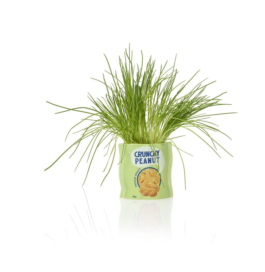 bol sachet de cacahuetes bitten