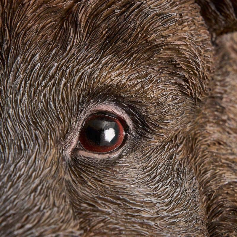 Wandleuchte „Willy das Wildschwein“, braunes Polyurethanharz