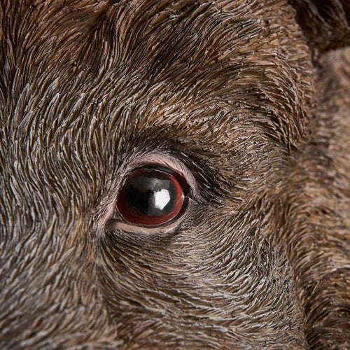 Wandleuchte „Willy das Wildschwein“, braunes Polyurethanharz