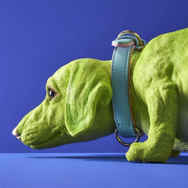 Chien Teckel Wilfried M. Collier, Résine poly verte