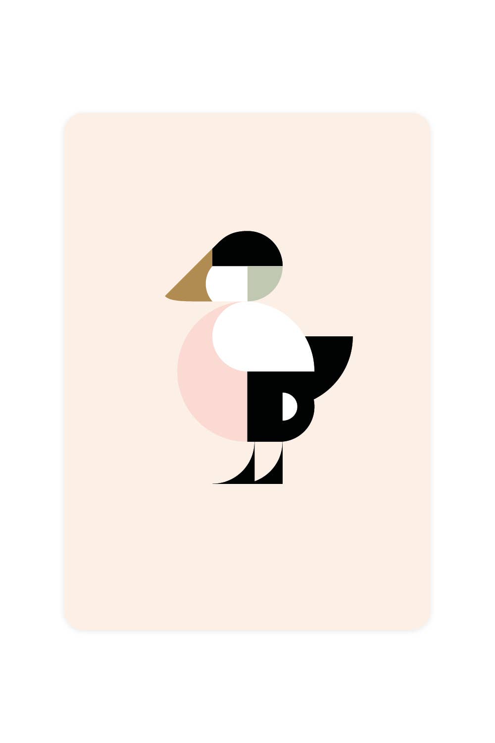 Postcard with Eider