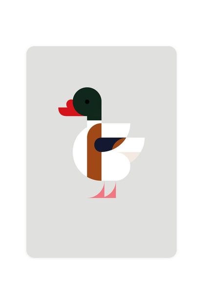 Postcard with Shelduck