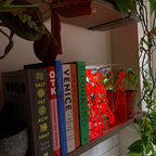 Panneau de boîte en néon 'Bookcase Man