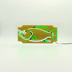 'Trophy Fish' Glass Neon Box Sign - Green – Locomocean