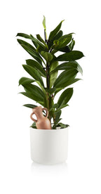 Arroseur Autonome Amphora | Designproducten en originele cadeaus