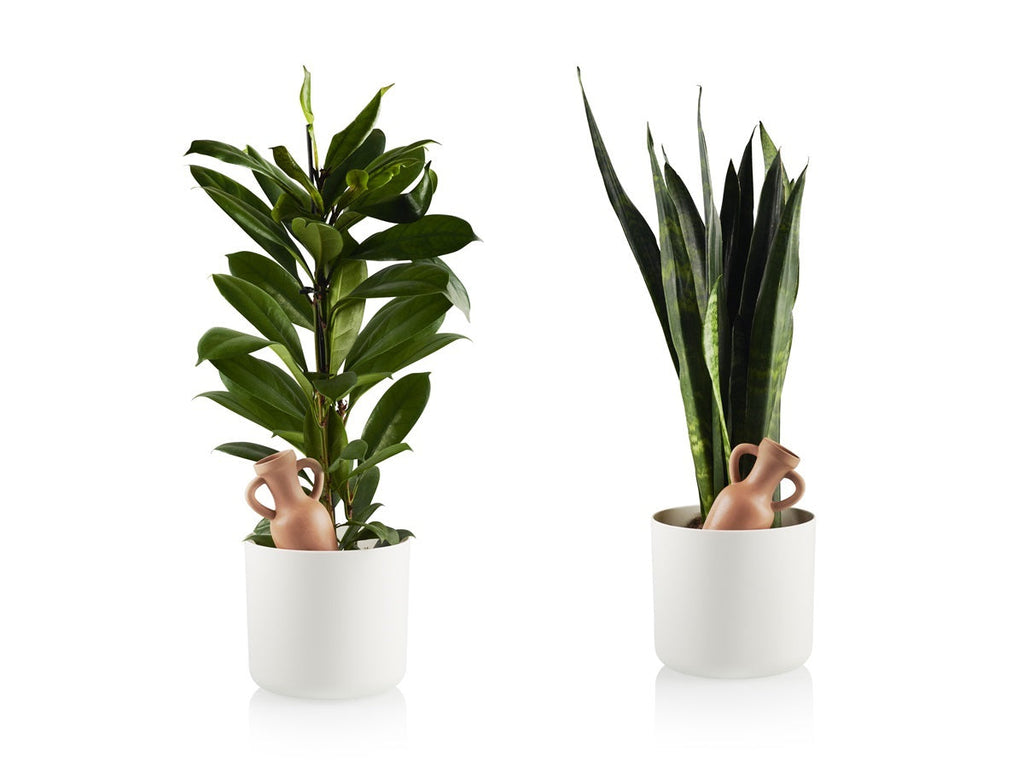 Arroseur Autonome Amphora | Designproducten en originele cadeaus