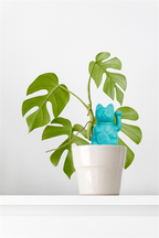 Designcadeau – Arroseur Autonome Chat Chanceux Bleu - le Chat Chanceux