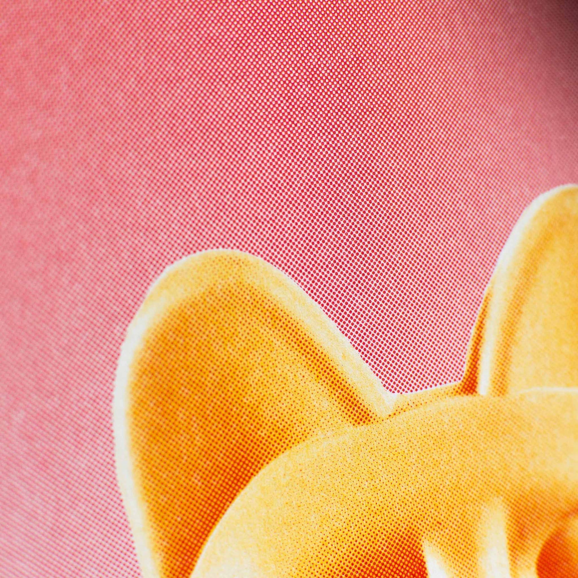 Designcadeau – Artprint Chat Chanceux Pêche - le Chat Chanceux