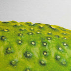 Vue complémentaire : Artprint Cornichon – Donkey Products
