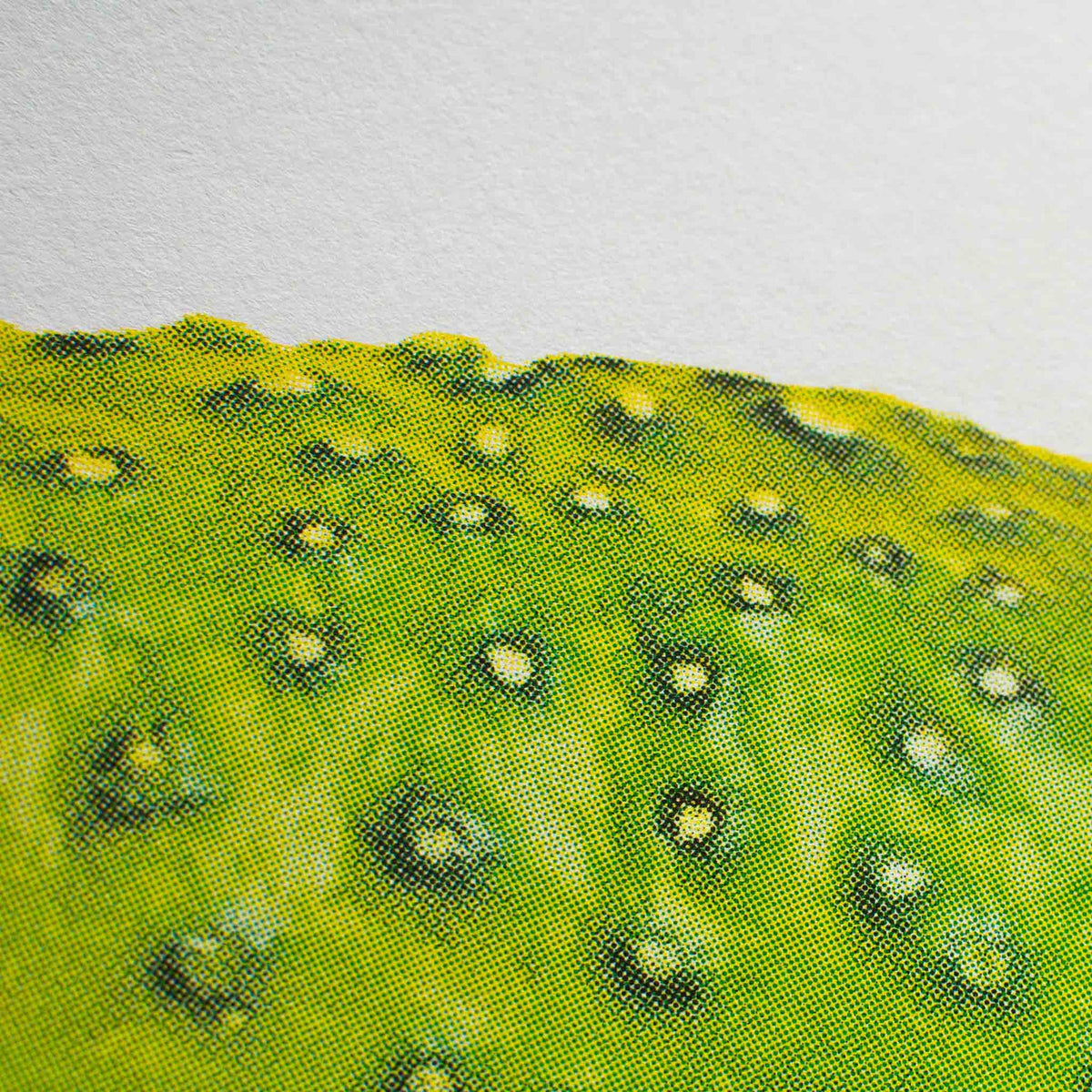 Vue complémentaire : Artprint Cornichon – Donkey Products