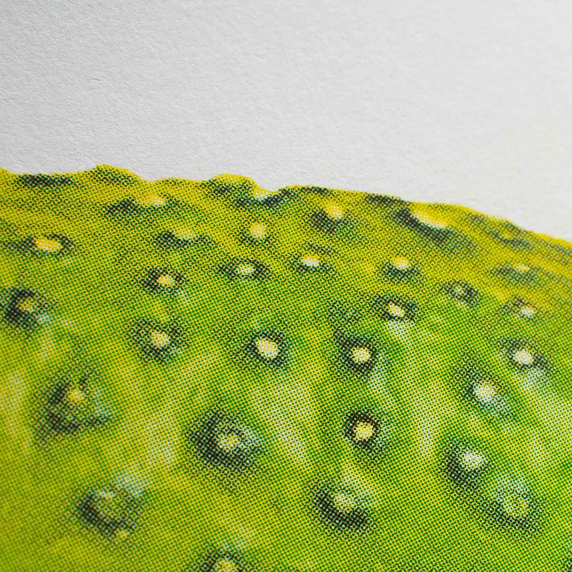 Artprint Cornichon | Designproducten en originele cadeaus