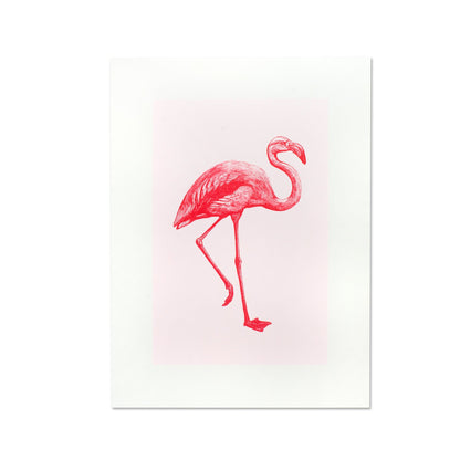 Artprint Flamant Rose