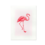 Flamingo Art Print