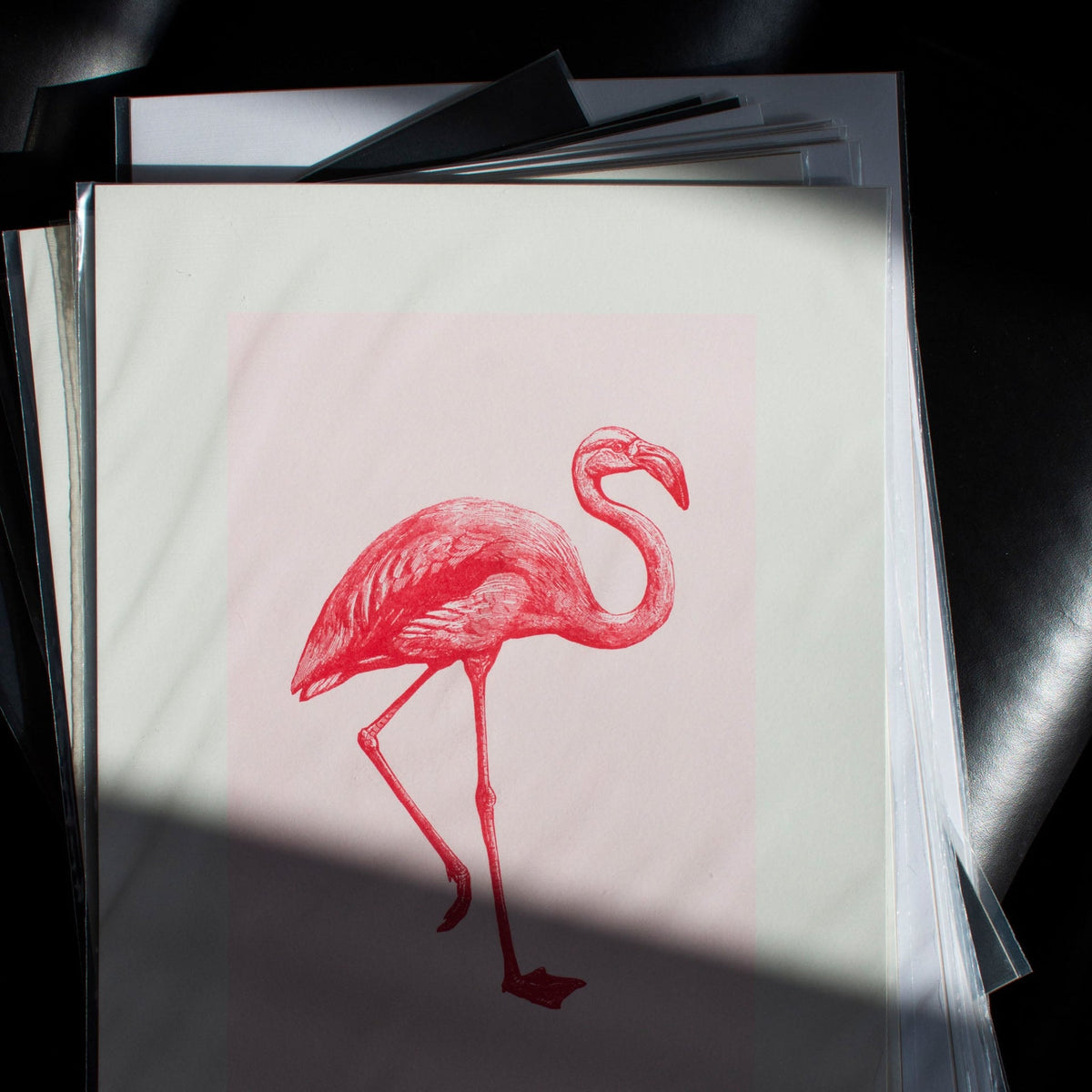 Flamingo Art Print