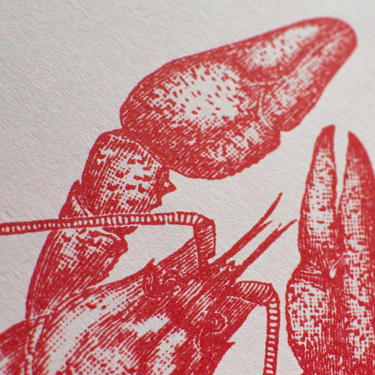 Vue complémentaire : Artprint Homard – Donkey Products