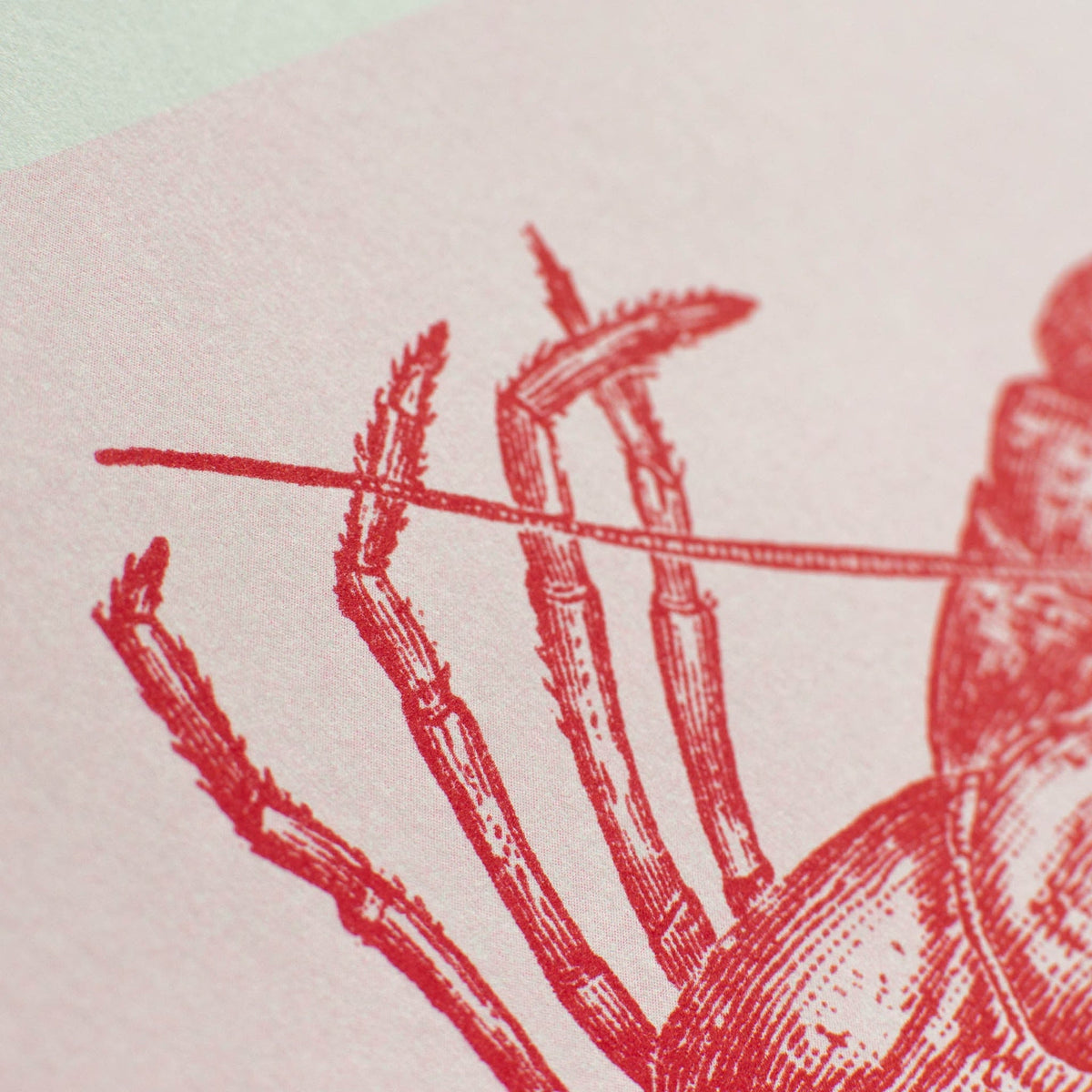 Vue complémentaire : Artprint Homard – Donkey Products