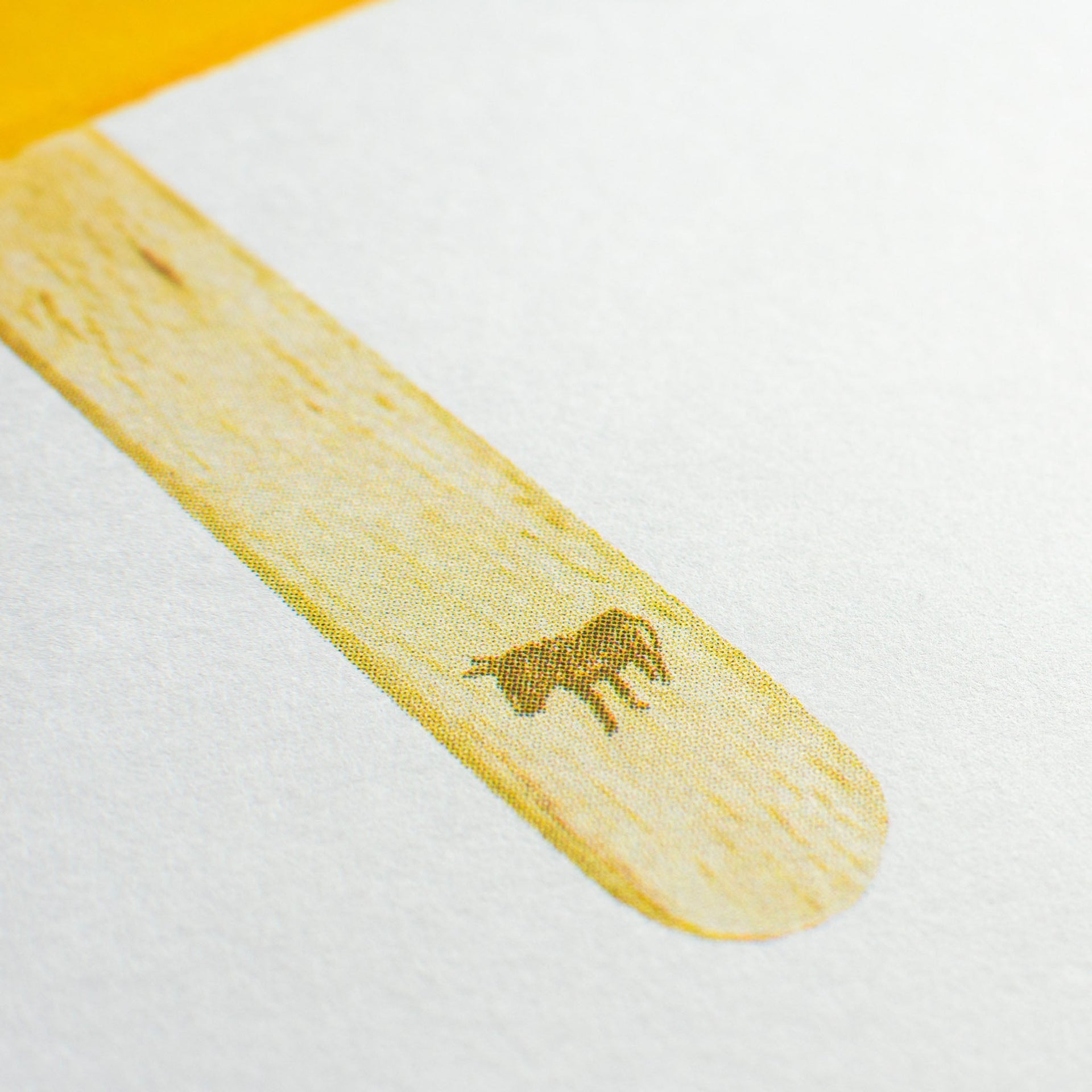 Artprint Popsicle | Designproducten en originele cadeaus