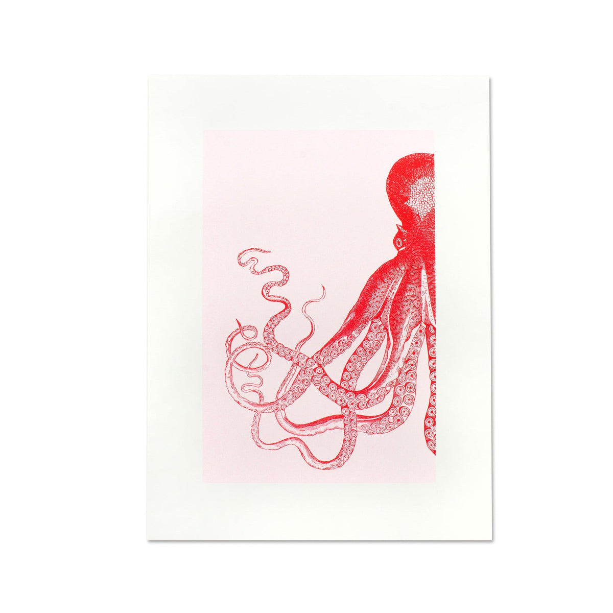 Artprint Poulpes – Donkey Products