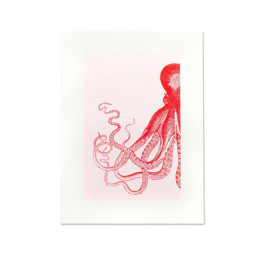 Artprint Poulpes – Donkey Products